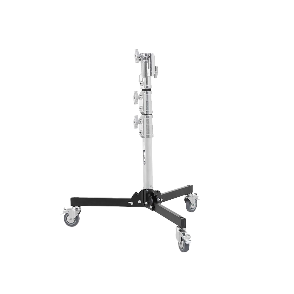 PIED LOWBOY – Image 2