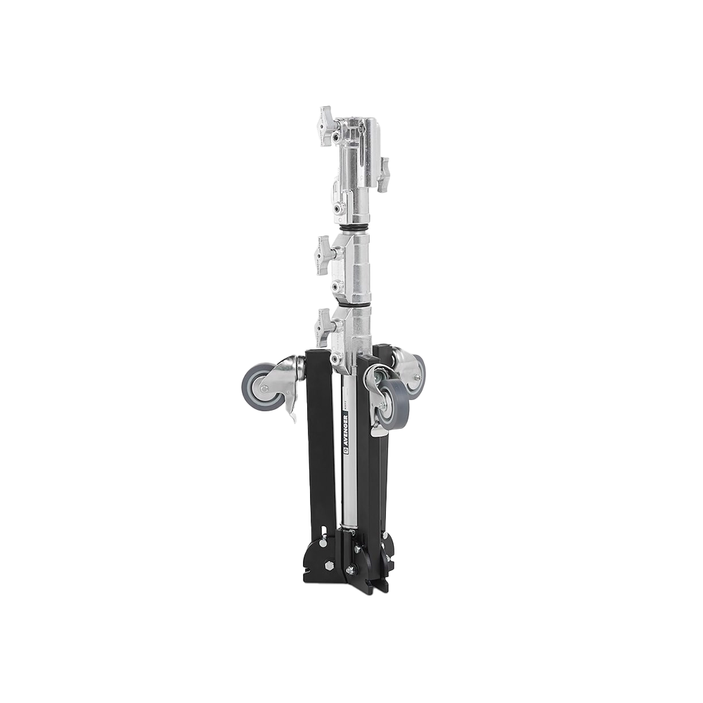 PIED LOWBOY – Image 3