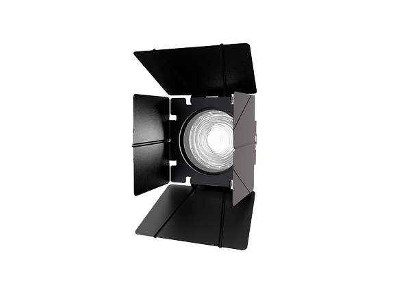 F10 BARN DOORS – Image 2